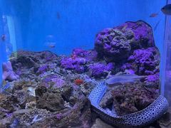 -鹿儿岛水族馆