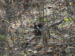 -帽儿山国家森林公园