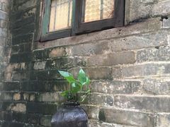 -小洲村