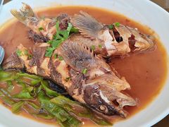 -大连君悦酒店·星海湾壹号Dalian·Dalian(星海广场店)