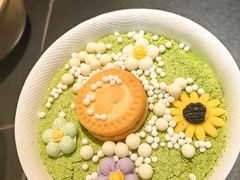 -季季山·云南野生菌火锅(上海首店)
