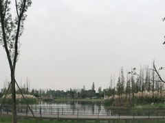 -白鹭湾湿地公园