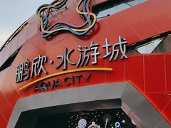 -鹏欣水游城