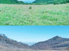 -白草畔自然风景区