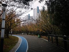 -苏州河梦清园环保主题公园