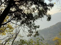 -北京上方山国家森林公园