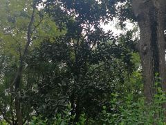 -圩墩遗址公园