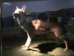 -上海公安博物馆