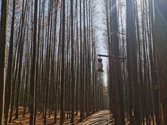 -山王坪喀斯特国家生态公园