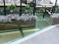 -确喜美味小厨(西单商场兰州店)