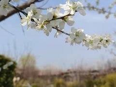 -大连金石滩绿发温泉假日酒店