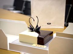 -BLACKSWAN黑天鹅(环球店)