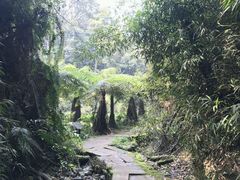 -保利石象湖景区
