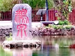 -靖西鹅泉风景区