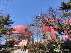 -信号山公园