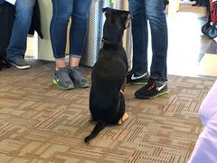 -华盛顿杜勒斯国际机场