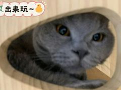 -Pets First伊珊娜洗护·精致美容·家庭式寄养(新会路店)