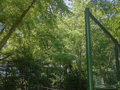 -兰溪青年公园