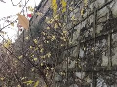 -遵义会议纪念馆