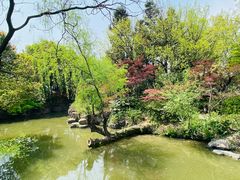 -红梅公园