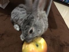 -中家鑫园温泉酒店鑫悦汤泉