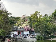 -深圳国际园林花卉博览园