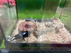 -上海昆虫博物馆