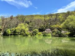 -南山风景名胜区