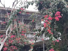 -光明刘冰乳鸽店(光明法政北路店)