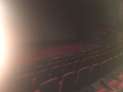 -飞扬影城(正佳IMAX店)