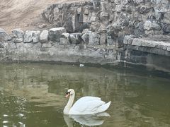 -森林公园(尖草坪区)
