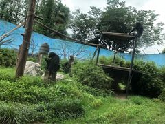 -国色天乡三期陆地乐园
