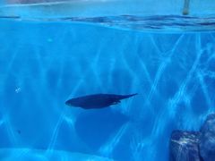 -多彩贵州城极地海洋世界