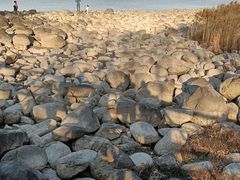 -上海吴淞炮台湾国家湿地公园