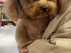 -FAELING PETS美天灵宠物(富力广场店)
