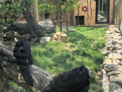 -大连森林动物园