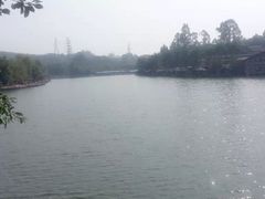 -观澜山水田园