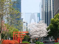 -中央公园(苏州工业园区)