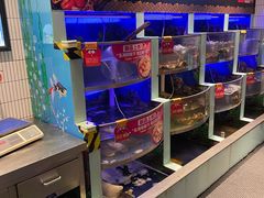 水产区-七欣天香辣蟹火锅(南京建宁路大观天地店)