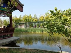 -西海子公园