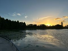 -澹台湖公园