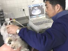 -爱侣宠医·鹦鹉专科·小型哺乳类·异宠专科(灵石路店)