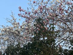 -南京市江宁方山