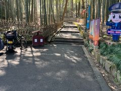 -杭州黄龙洞