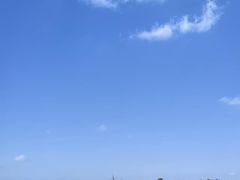 -南大港湿地风景区
