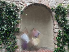 -中旅阿那亚九龙湖·公主酒店