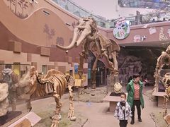 -陕西自然博物馆