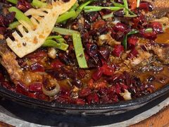 -老板恋上鱼(恒隆广场店)