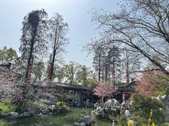 -东湖磨山景区樱花园-停车场