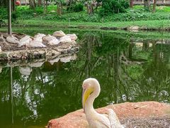 -深圳野生动物园